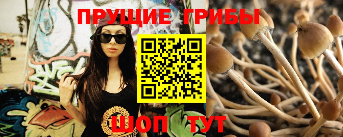 магазин    Псилоцибиновые грибы Psilocybe  Вход с VPN  Елец 